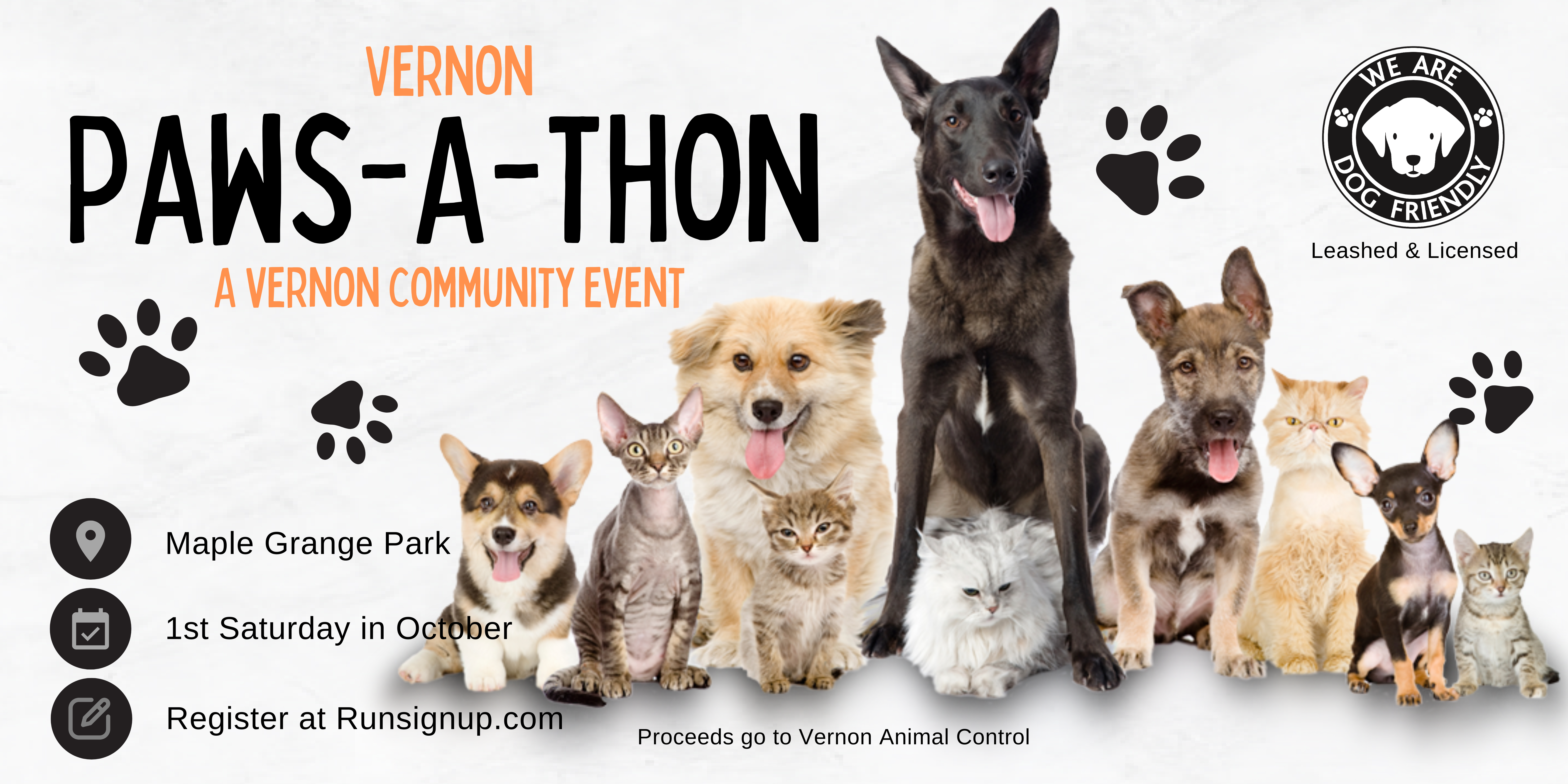 Paws A Thon 
 Banner 1