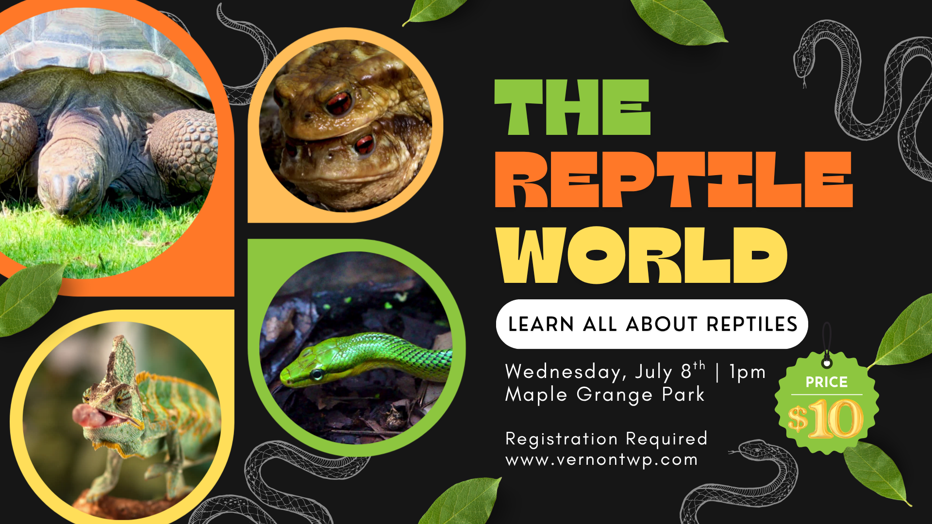 Rizzos Reptiles 1