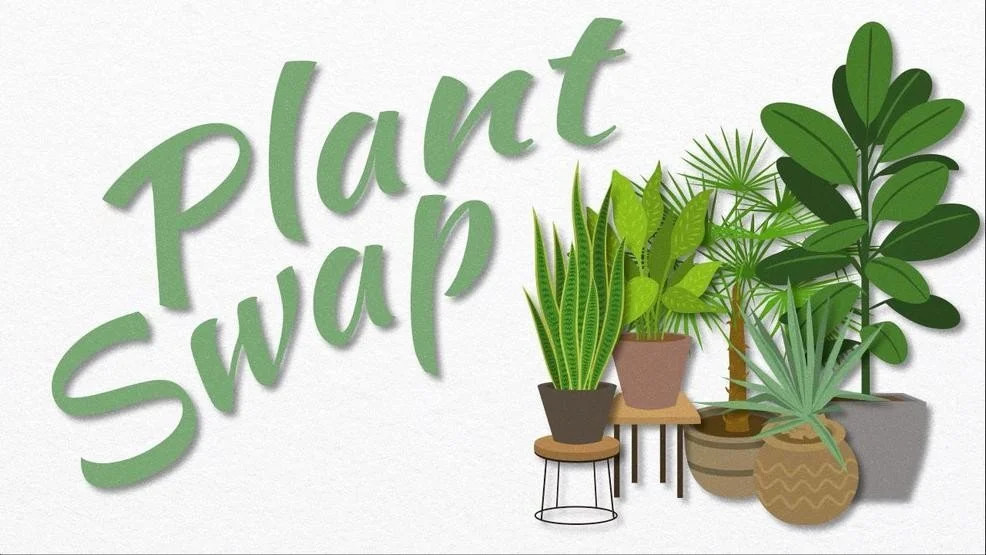 PlantSwap2